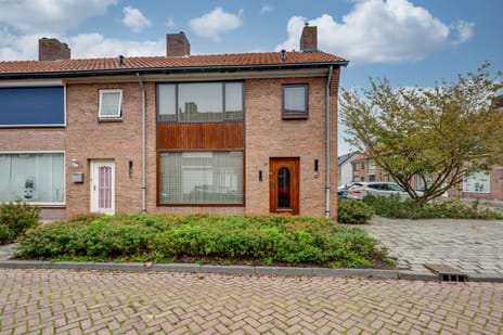 undefined main image