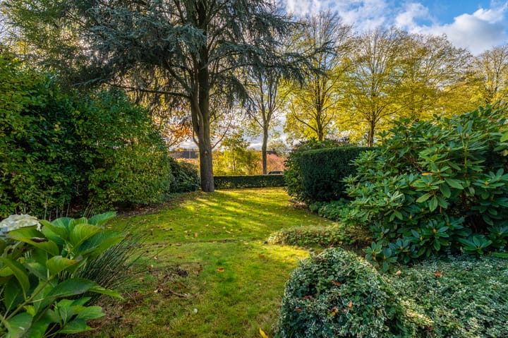 Photo 9 of Blijhamsterweg 20