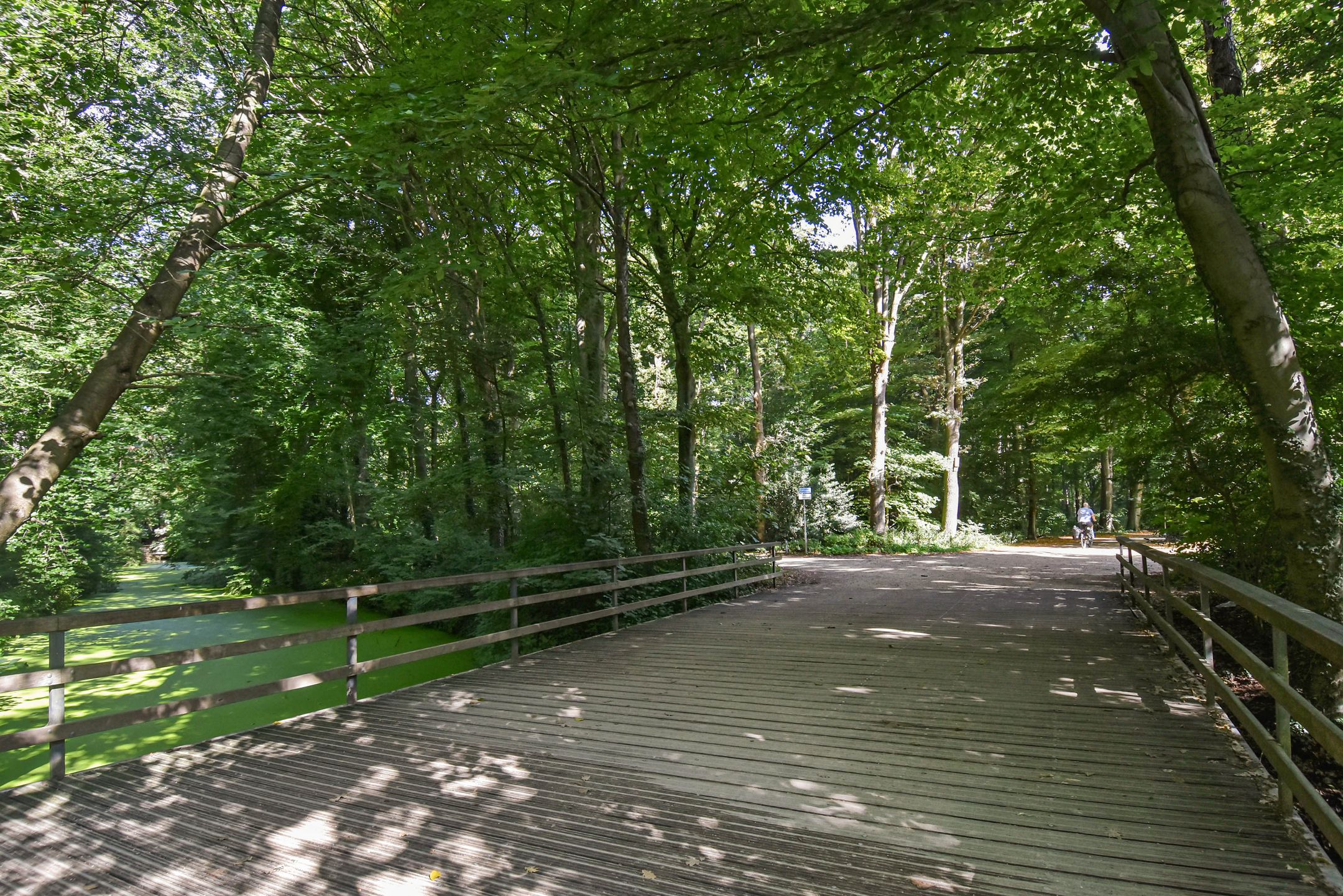 Foto 24 van Boslaan 175