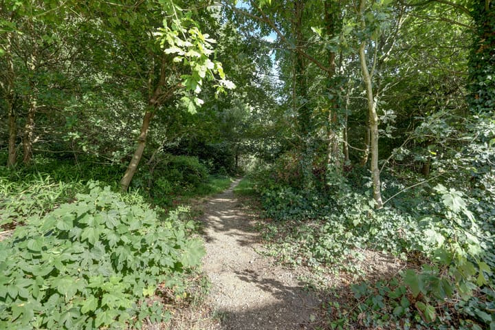 Photo 44 of Tolhuis 2509