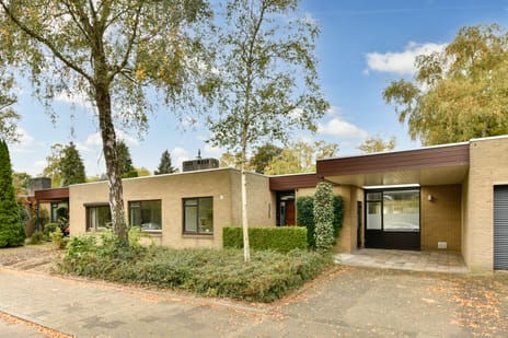 Van der Boechorststraat thumbnail