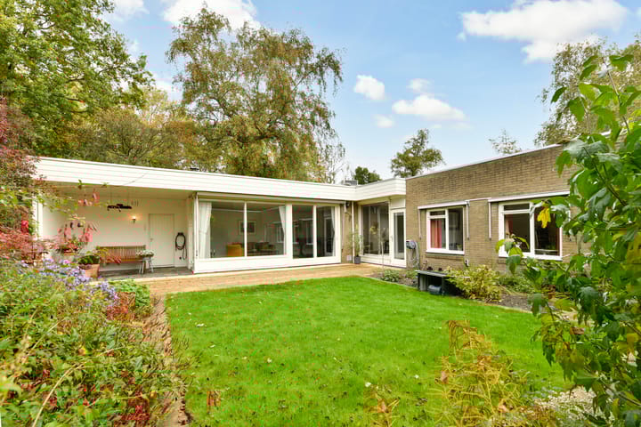 Foto 3 van Van der Boechorststraat 30