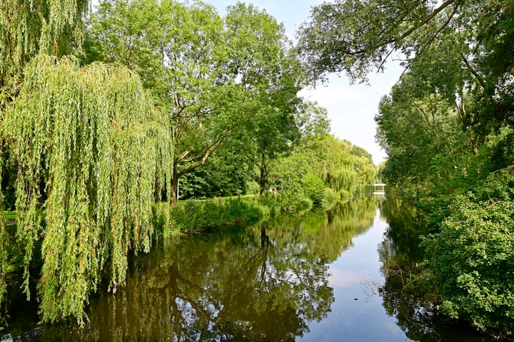 Foto 27 van Van der Boechorststraat 30