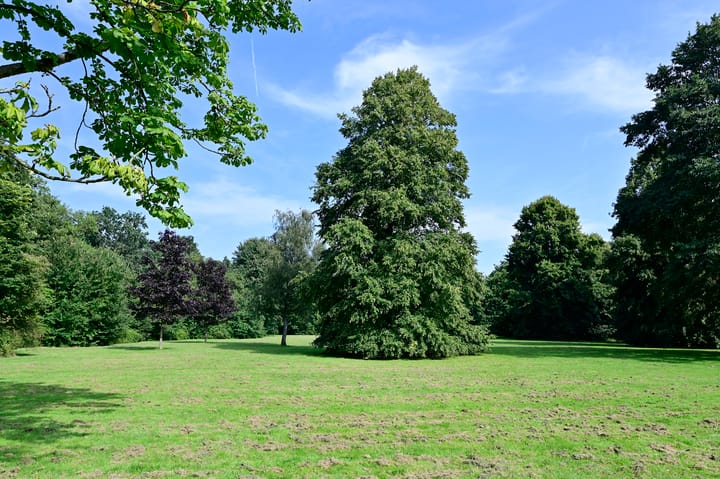 Foto 28 van Van der Boechorststraat 30