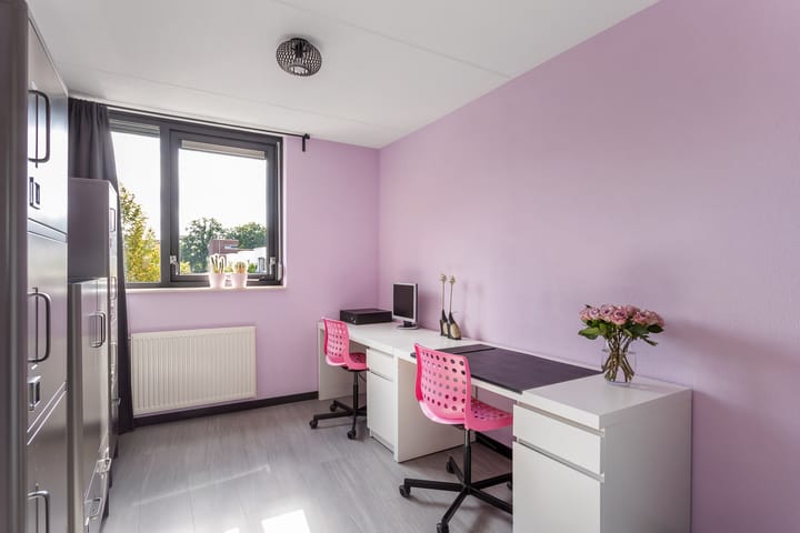 Photo 15 of Palingstraat 39