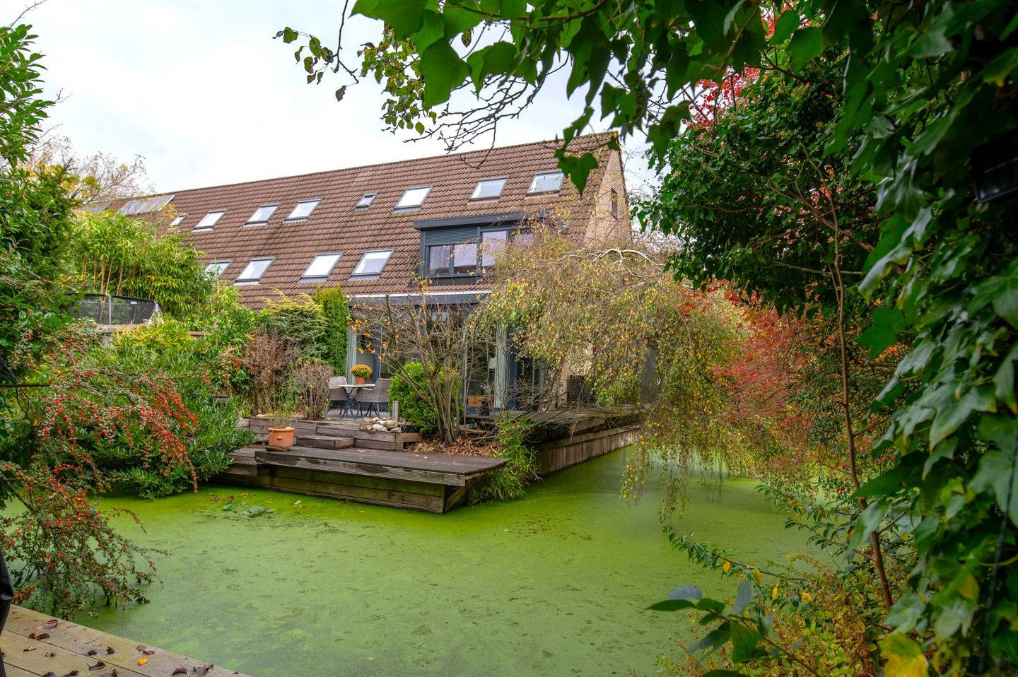 Foto 1 van Ernest Claespad 29