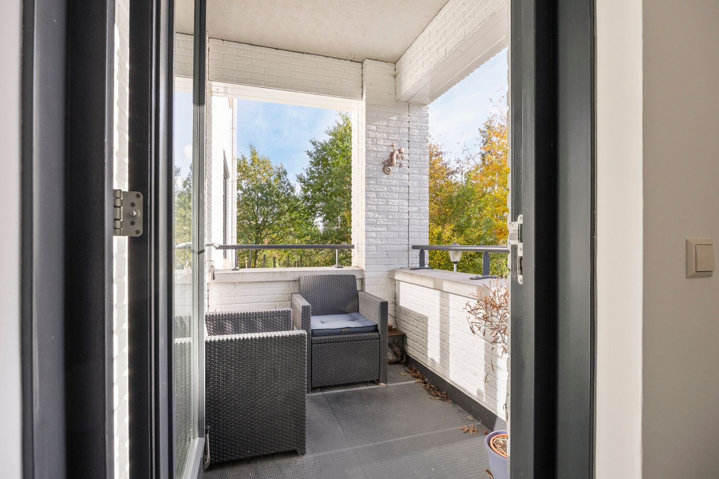 Foto 4 van Zijpenbergerhout 9