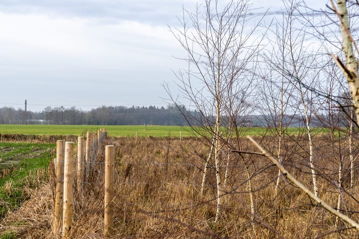 Foto 19 van Lochemseweg 22