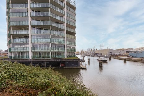 Kaapstander thumbnail