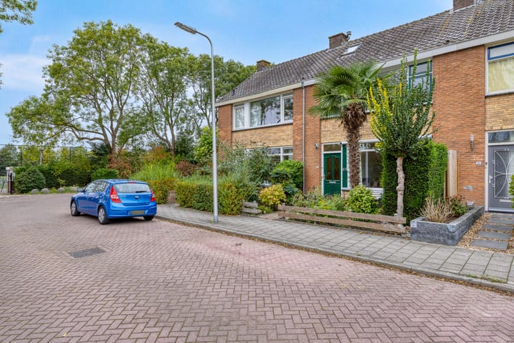 Photo 2 of Groene Zoom 65