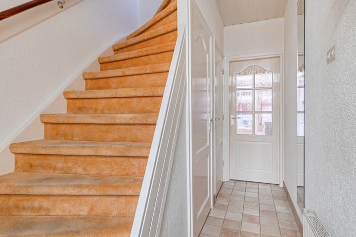 Photo 4 of Groene Zoom 65