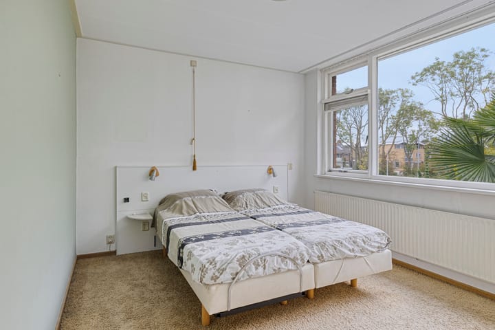 Photo 22 of Groene Zoom 65