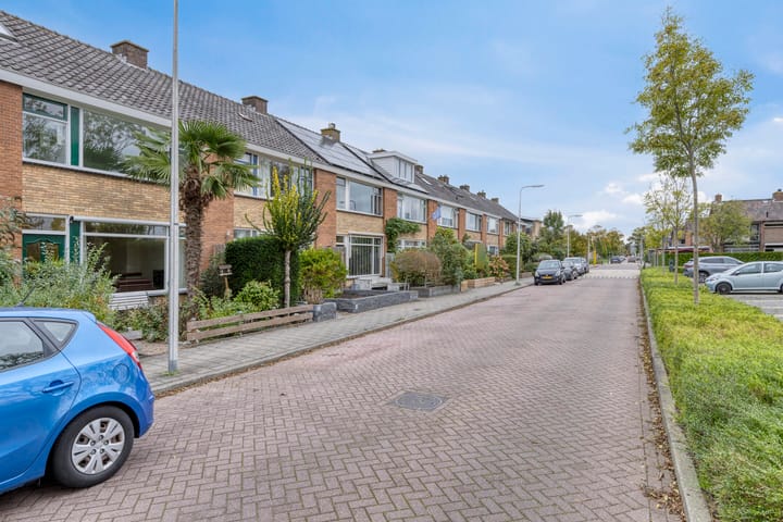 Photo 33 of Groene Zoom 65