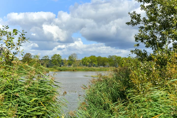 Photo 53 of Laan van de Geallieerden 4