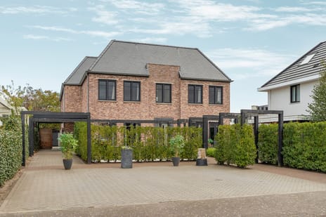 Medusastraat thumbnail