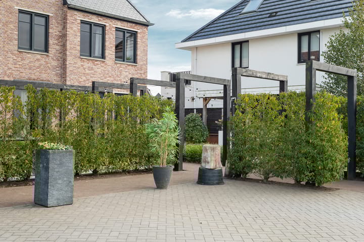 Photo 12 of Medusastraat 6