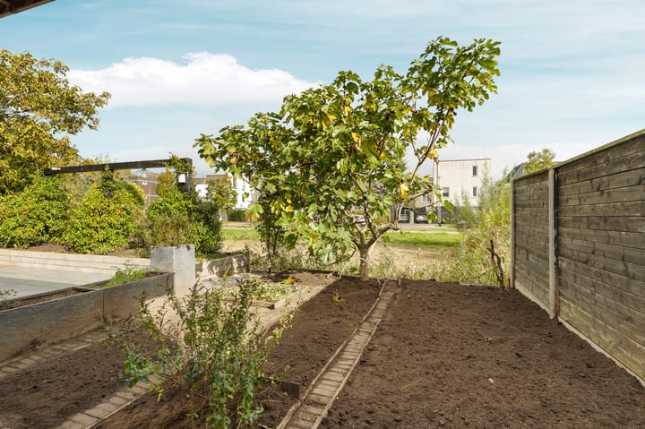 Photo 93 of Medusastraat 6