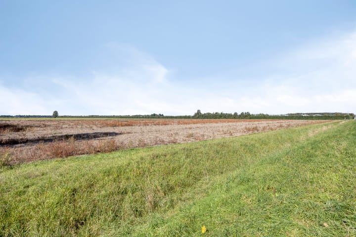 Foto 51 van Eindhovenschelaan 11