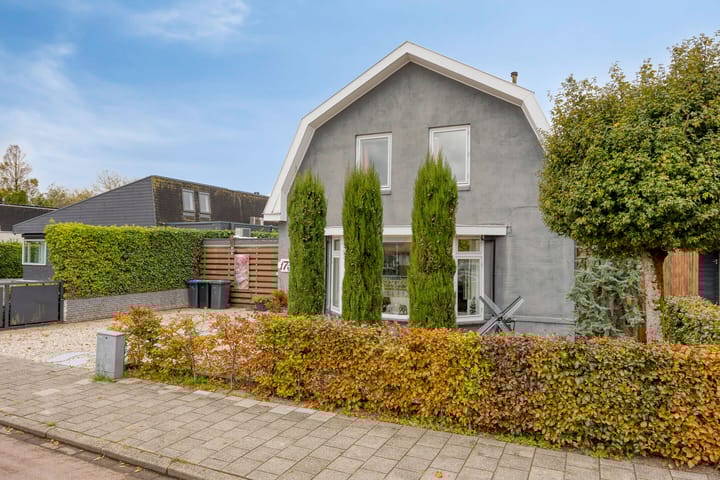 Photo 33 of Goudseweg 173