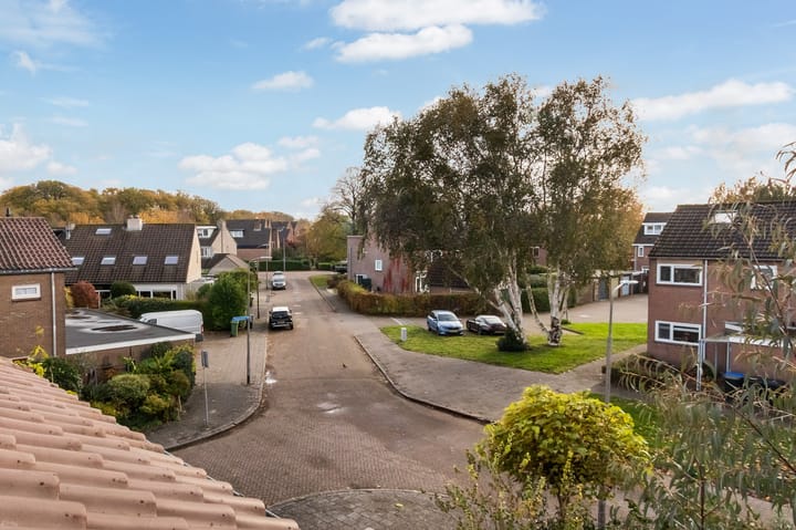 Foto 21 van Reigerlaan 1