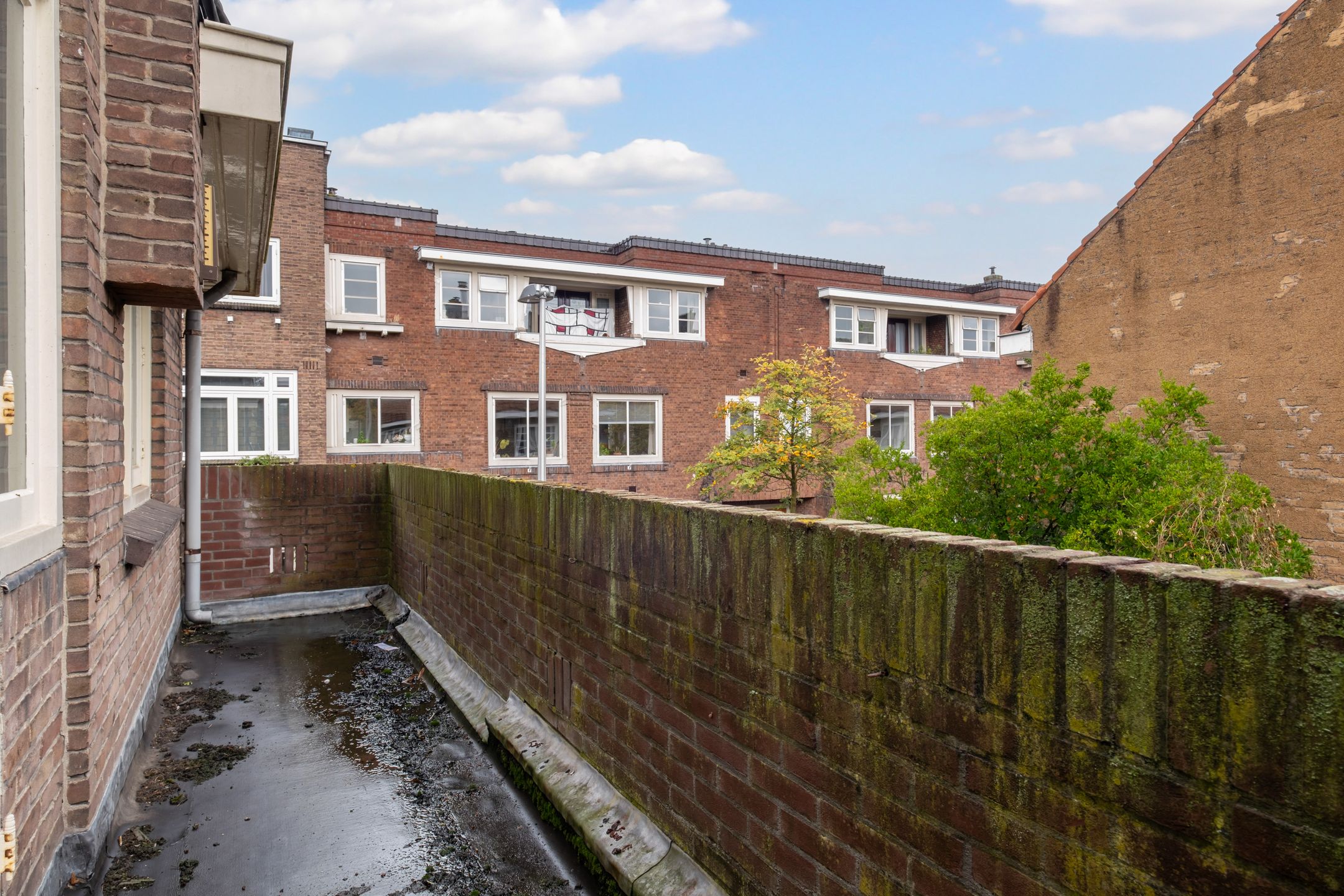 Foto 39 van Paulus Potterstraat 30