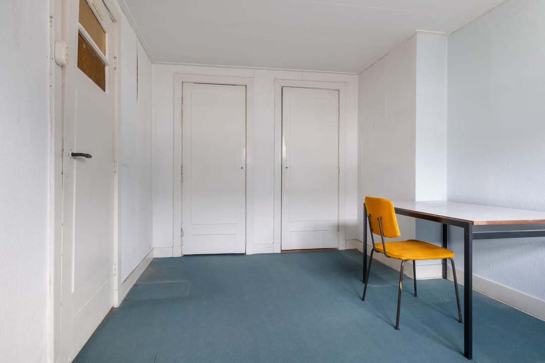 Foto 47 van Paulus Potterstraat 30