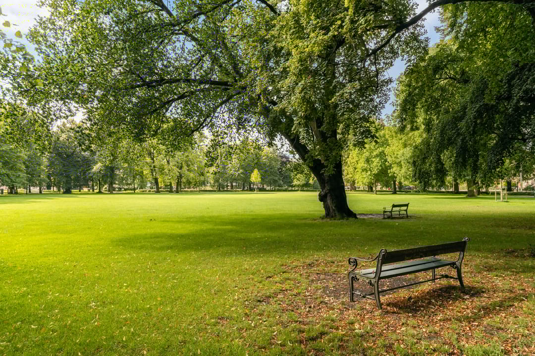 Foto 58 van Paulus Potterstraat 30