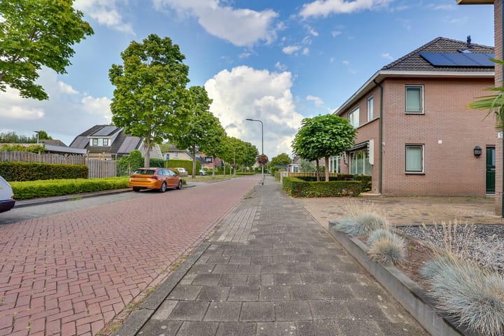 Foto 6 van Ganzerik 5