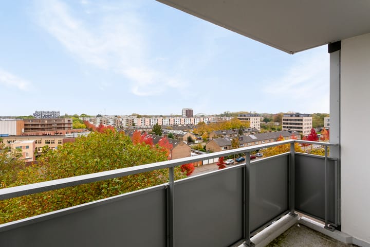 Foto 7 van Eisenhowerlaan 160