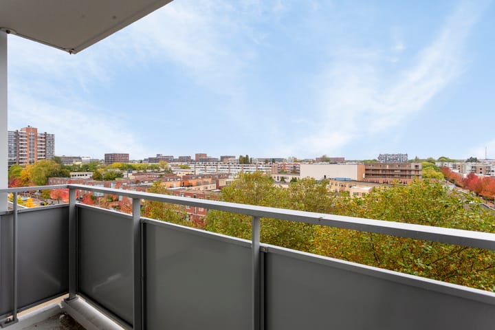 Foto 8 van Eisenhowerlaan 160