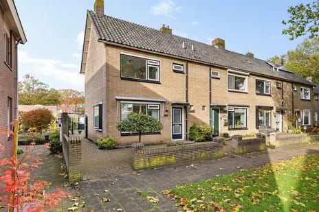 undefined main image