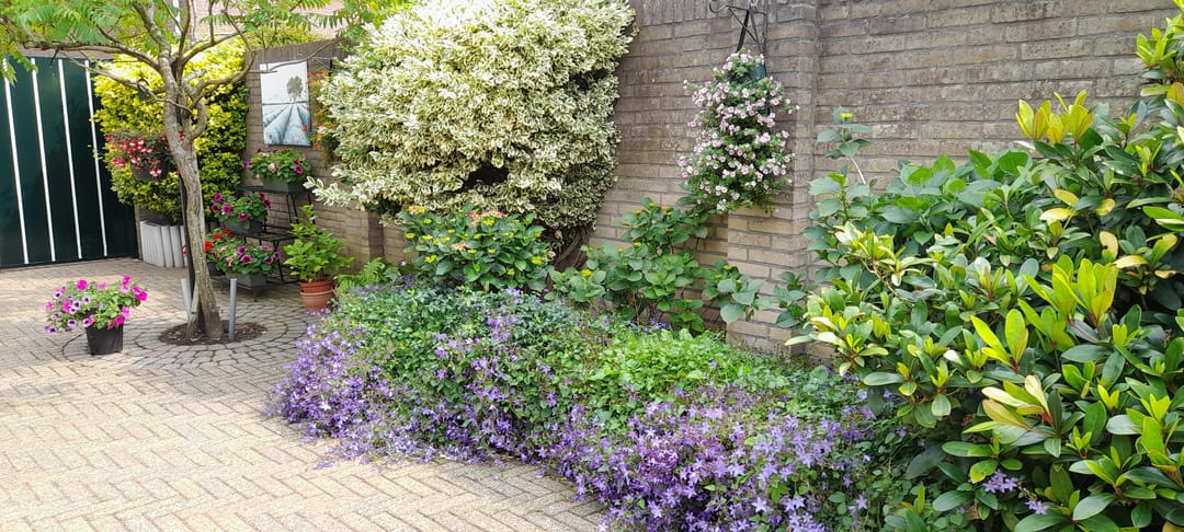 Foto 37 van Hendrik de Vroomestraat 1