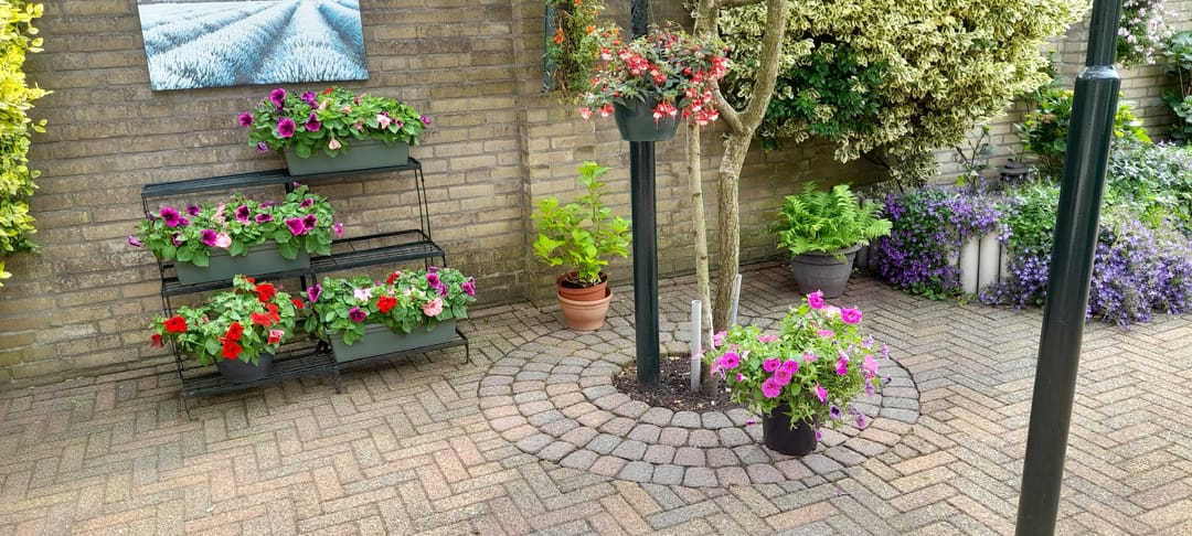 Foto 38 van Hendrik de Vroomestraat 1