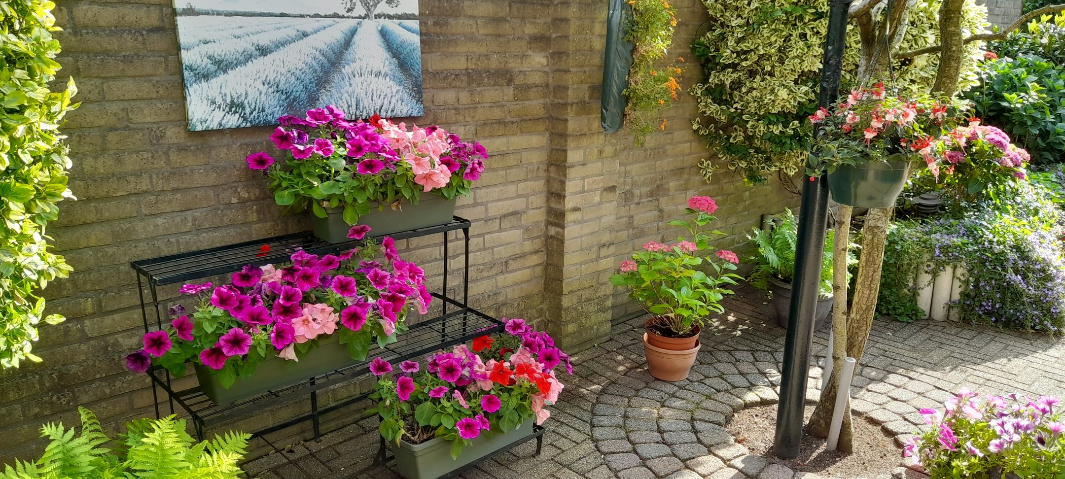 Foto 39 van Hendrik de Vroomestraat 1