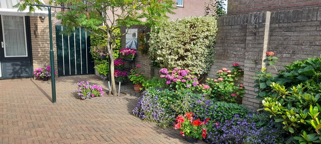 Foto 43 van Hendrik de Vroomestraat 1