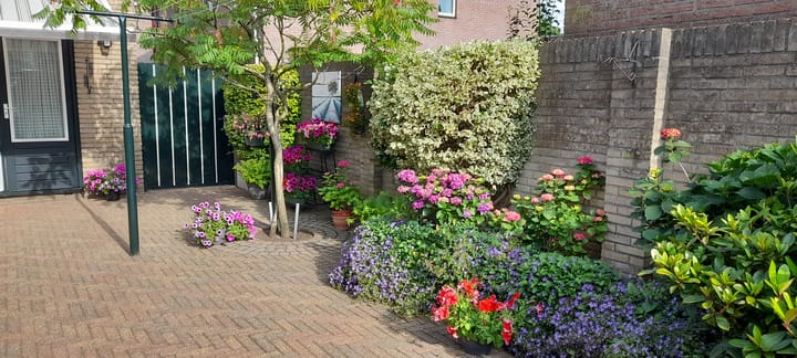 Foto 43 van Hendrik de Vroomestraat 1