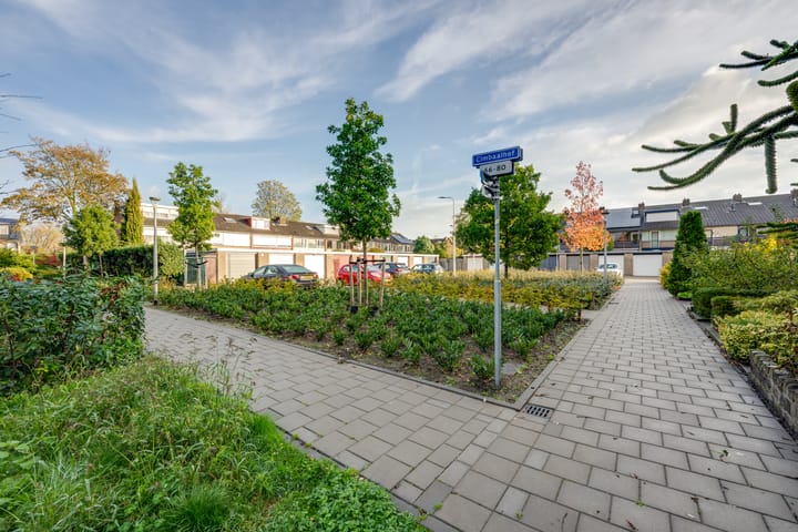 Foto 35 van Beiaard 272