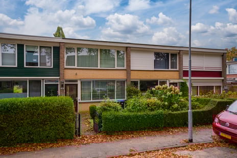 undefined main image