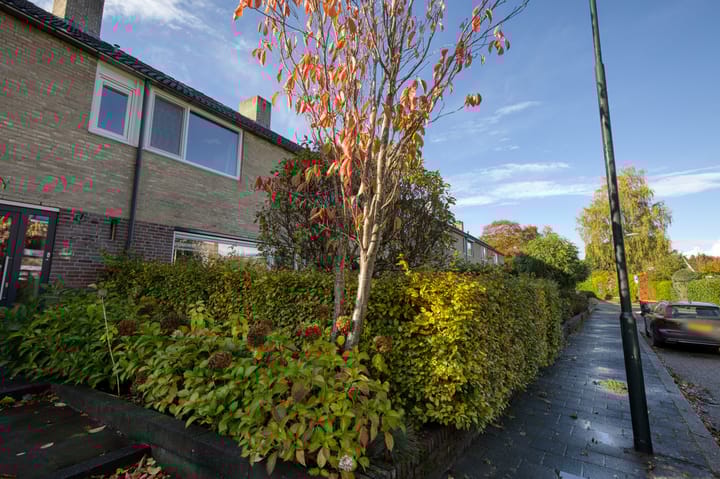 Photo 29 of Doornenburg 21