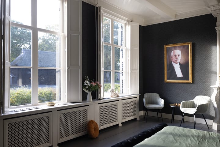 Photo 29 of Oud Avereest 3