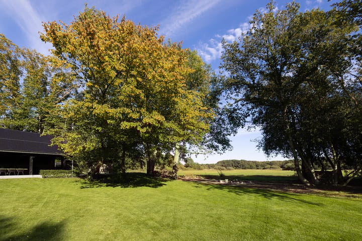 Photo 61 of Oud Avereest 3