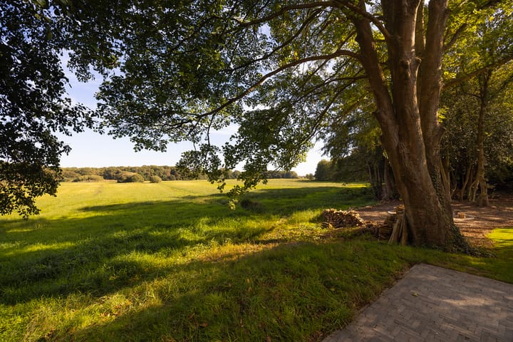 Photo 62 of Oud Avereest 3