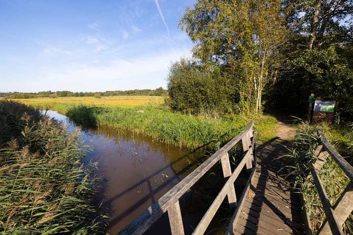 Photo 74 of Oud Avereest 3