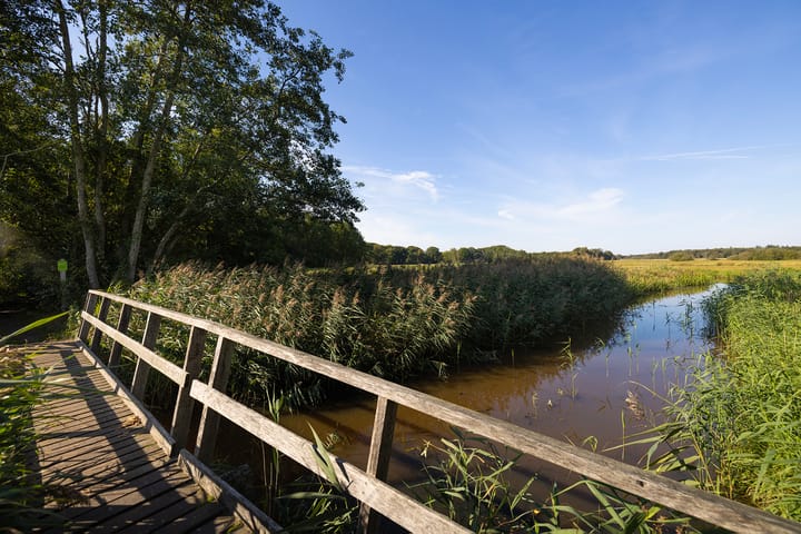 Photo 75 of Oud Avereest 3