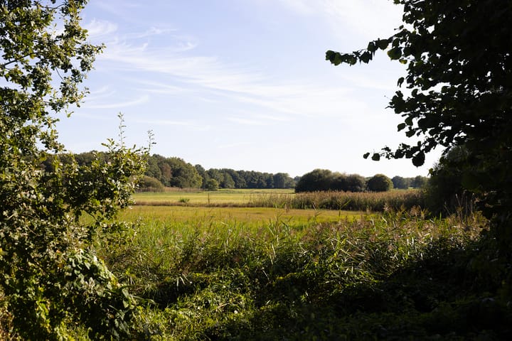 Photo 76 of Oud Avereest 3