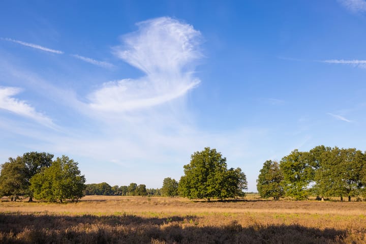 Photo 77 of Oud Avereest 3