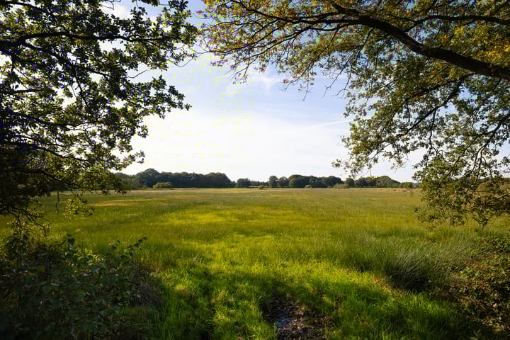 Photo 78 of Oud Avereest 3