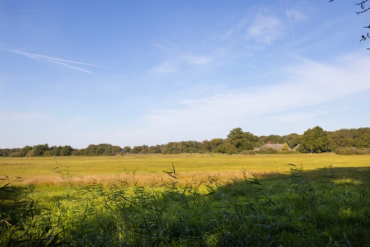 Photo 79 of Oud Avereest 3