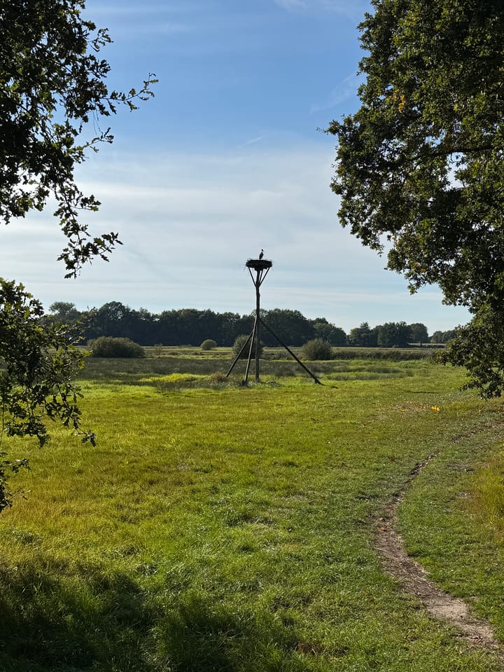 Photo 80 of Oud Avereest 3