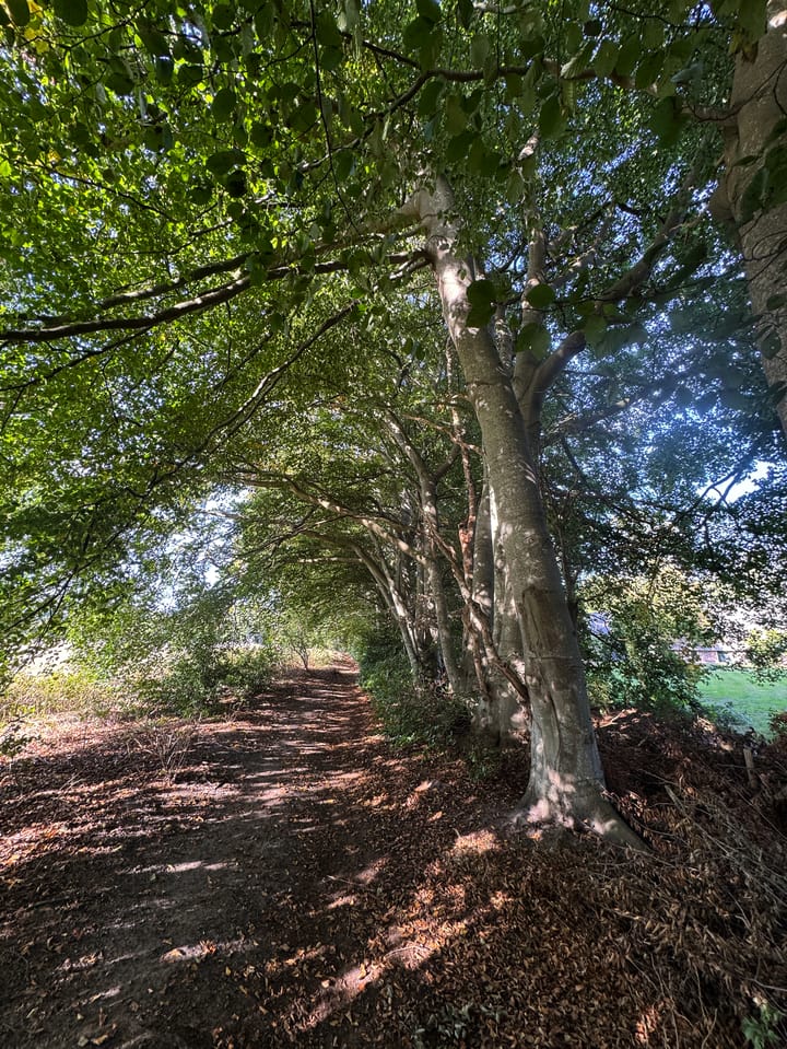 Photo 83 of Oud Avereest 3